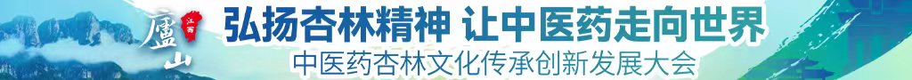 在哪里操逼视频中医药杏林文化传承创新发展大会